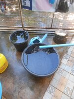 DSCN7462~2.JPG