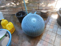 DSCN7466.JPG