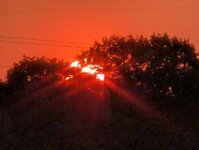 PXL_20260509_185449377.jpg