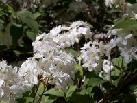 IMG-20260505-WA0005.jpg