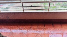 IMG_9310.jpeg