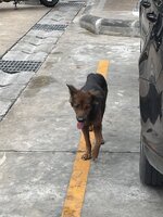 IMG_3607.jpeg