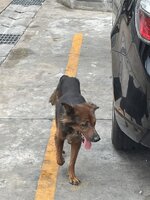 IMG_3608.jpeg