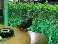 IMG_3605.jpeg