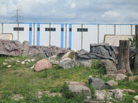 Duitsland-Gelsenkirchen ''Zoom Erlebniswelt-IJsbeer'' (3).JPG