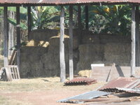 DSCN7640.JPG DSCN7640.JPG