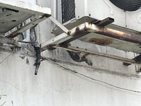 IMG_3612.jpeg