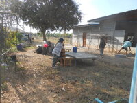 DSCN7646.JPG DSCN7646.JPG