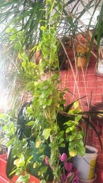 IMG_20230330_102335141~3.jpg
