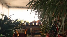IMG_20230313_110156116~2.jpg