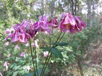 IMG-20260508-WA0012.jpg