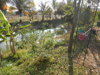 DSCN7645.JPG DSCN7645.JPG