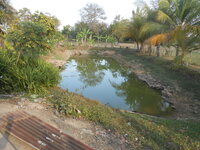 DSCN7660.JPG DSCN7660.JPG