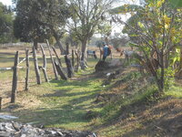 DSCN7648.JPG DSCN7648.JPG