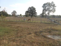 DSCN7661.JPG