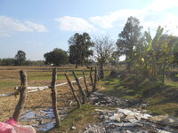DSCN7650.JPG