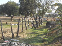 DSCN7649.JPG