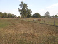 DSCN7663.JPG