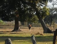 DSCN7650~2.JPG