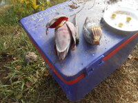 DSCN7654.JPG