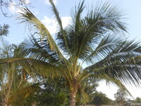 DSCN7666.JPG
