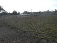 DSCN7662.JPG