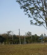 DSCN7664~4.JPG
