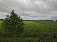IMG_20260512_080622.jpg