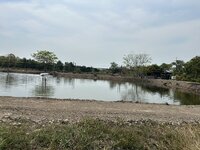 IMG_8526.jpeg