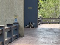 IMG_8516.jpeg