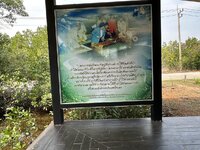 IMG_8519.jpeg