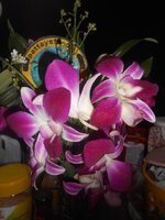 DSCN5620~2.JPG