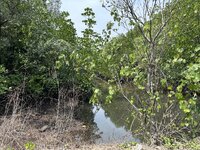 IMG_8501.jpeg