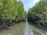 IMG_8523.jpeg