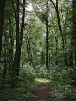 IMG_20260513_112117.jpg