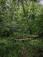 IMG_20260513_111452.jpg
