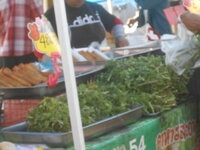 DSCN7910.JPG