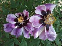 IMG-20260505-WA0011.jpg
