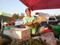 DSCN7116.JPG