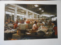 DSCN9378.JPG