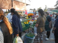 DSCN7105.JPG