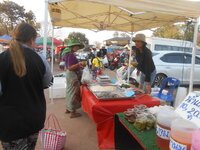 DSCN7117.JPG