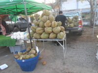 DSCN7114.JPG