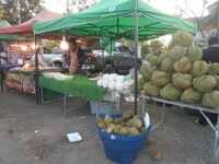 DSCN7115.JPG