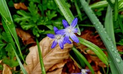20260404_094006.jpg