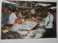 DSCN9379.JPG