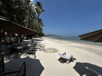 IMG_4228.JPG