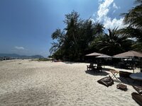 IMG_4229.JPG