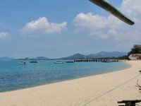 IMG_20260418_130153.jpg