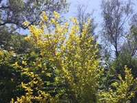 IMG-20260505-WA0013.jpg